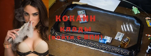 тгк Горняк