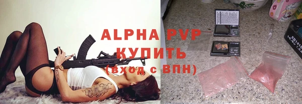 спиды Вяземский
