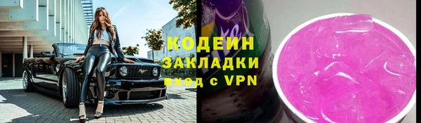 спиды Вяземский