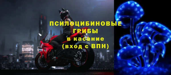 молекула духа Горно-Алтайск