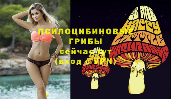 герыч Тавда