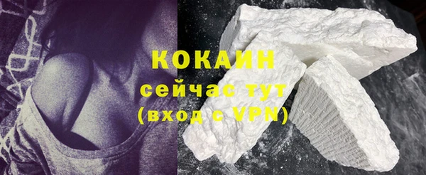 спиды Вяземский