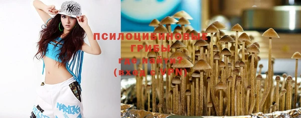 спиды Вяземский