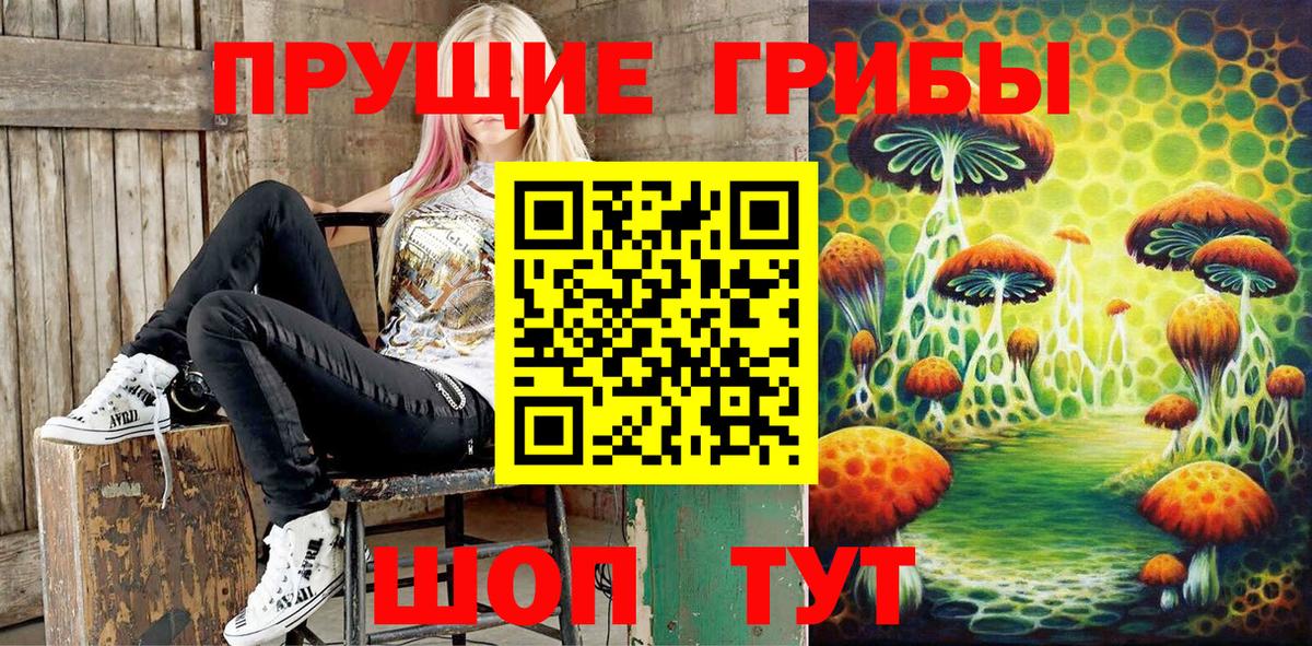 Мценск  Псилоцибиновые грибы Cubensis  Вход с VPN  Галлюциногенные грибы мицелий 