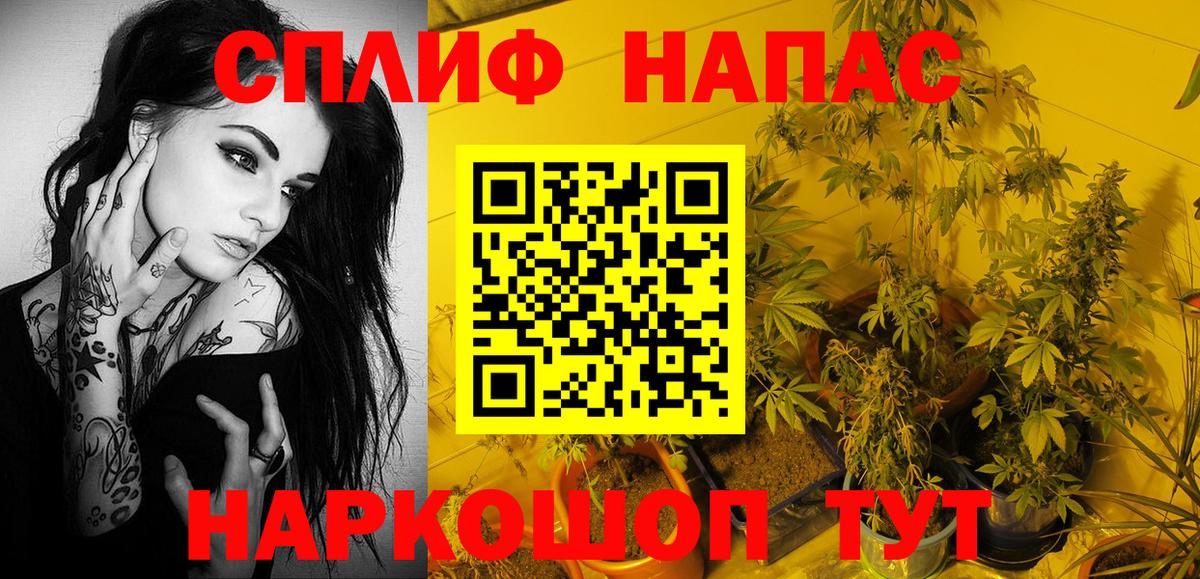 Канабис OG Kush  Бошки марихуана план  Вход с VPN  Мценск  Марихуана тримм  Шишки марихуана AK-47 
